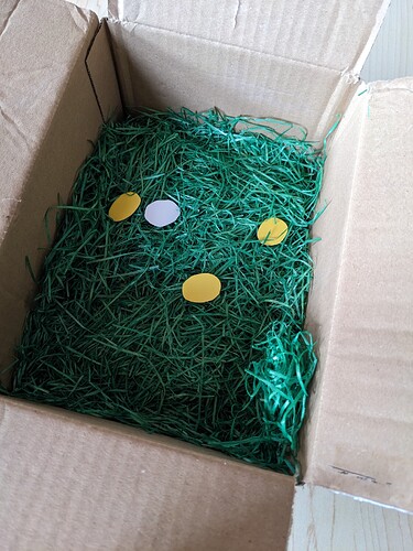 PXL_20240331_114150977