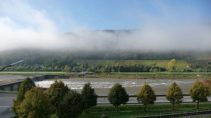 k-Nebel über der Mosel - 2014