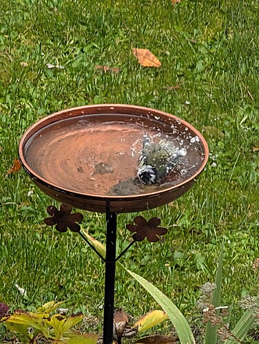 PXL_20251101_121622265