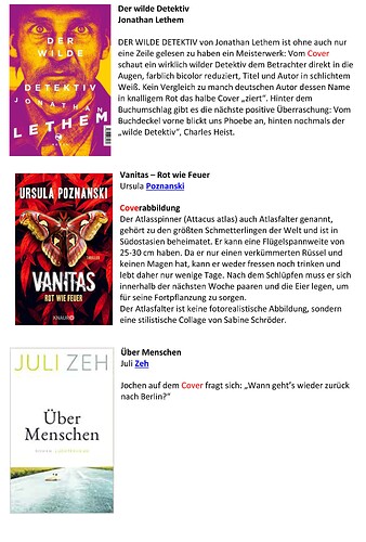 Das Cover in der Rezension-2