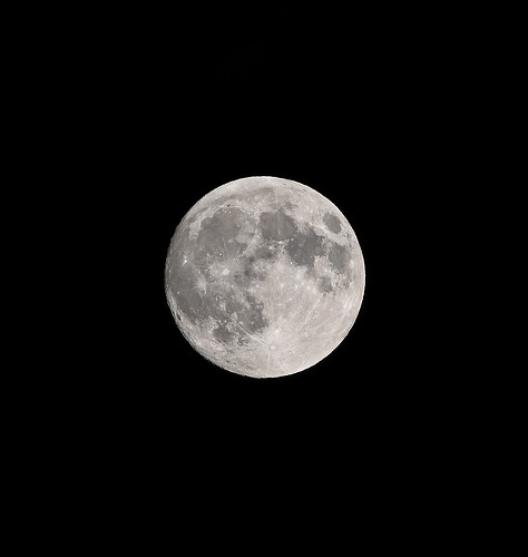 Z62_0074