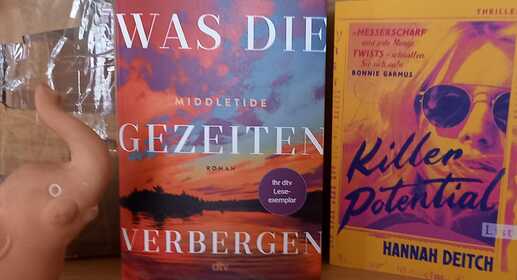 Buchpaket_Buecherfanten