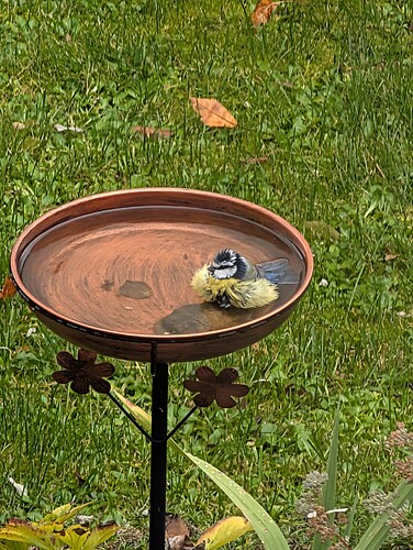 PXL_20251101_121617994