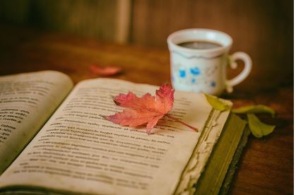 Herbstbild